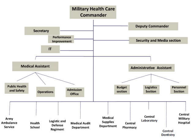 Hospital Laboratory Organizational Chart